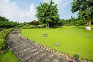 New Launch Amenities - Landscape Areas